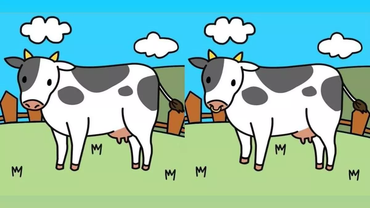 Optical Illusion: घास चरती गाय की इन दो तस्वीरों में हैं '5 अंतर', 30 सेकंड में खोजकर दिखाइए अपनी होशियारी
