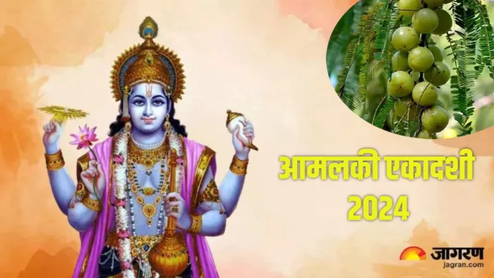 Amalaki Ekadashi 2024 आमलकी एकादशी पर इस विधि से करें आंवले के पेड़ की पूजा।