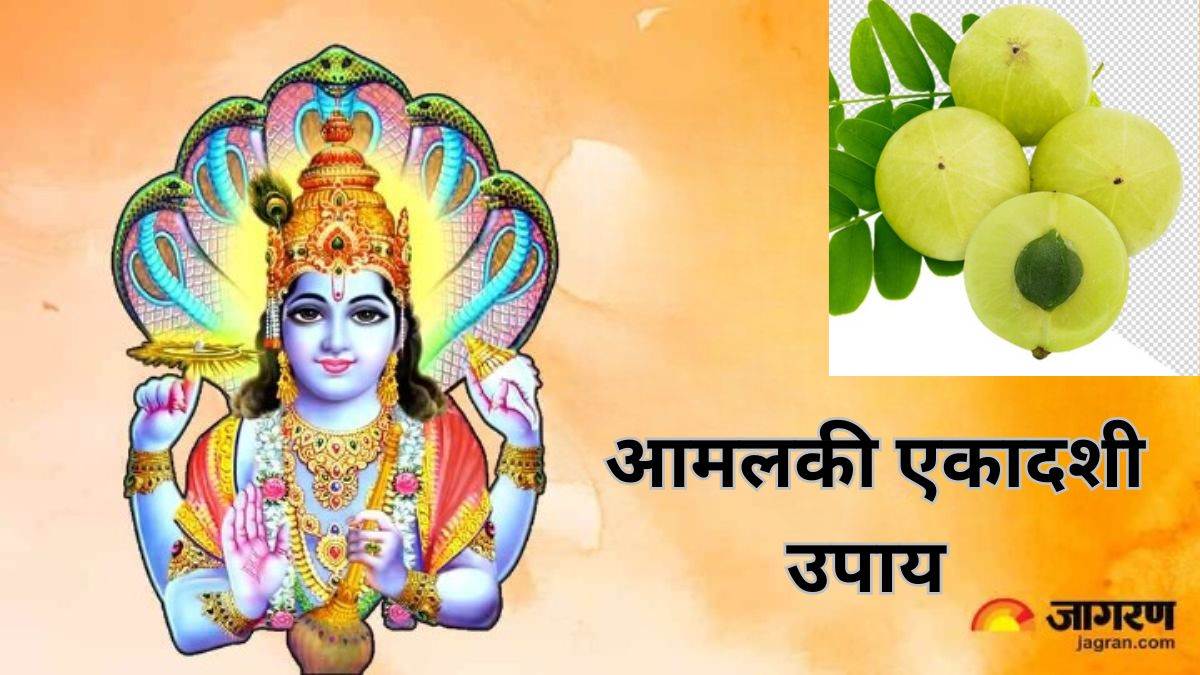 amalaki ekadashi 2024 upay remedies for amalaki ekadashi in hindi