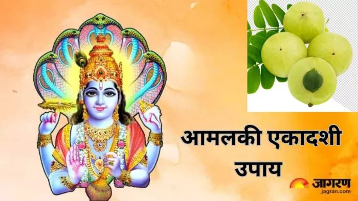 Amalaki Ekadashi 2024: आमलकी एकादशी पर आंवले से जुड़े करें ये उपाय