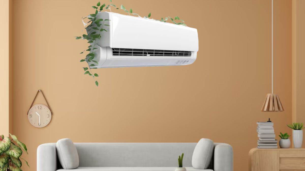 लेटेस्ट मॉडल वाले Blue Star Split AC का चलता है राज, एडवांस फीचर्स 52 डिग्री दिल्ली की चुभती गर्मी में देते हैं ठंडक