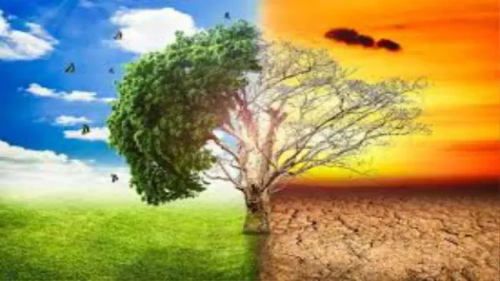 Climate Change और Global Warming के भयानक प्रभाव, ठंड में भी पड़ रही गर्मी और सिकुड़ रहा वसंत।