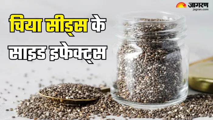 चिया सीड्स के नुकसान (Picture Credit- Freepik)