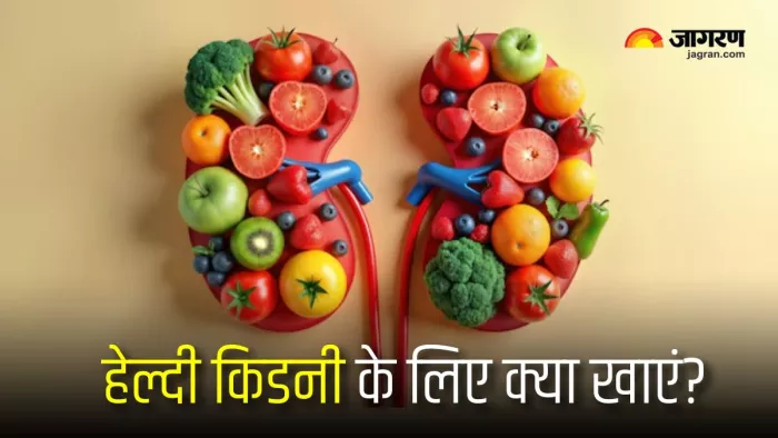Kidney Health Tips: किडनी को हेल्दी बनाएं रखने के लिए खाएं ये चीजें (Picture Courtesy: Freepik)