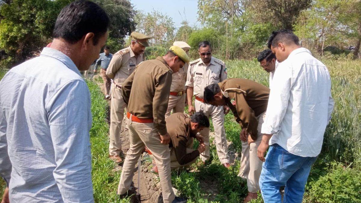 leopard sightings in hapur district is the forest department turning a blind eye