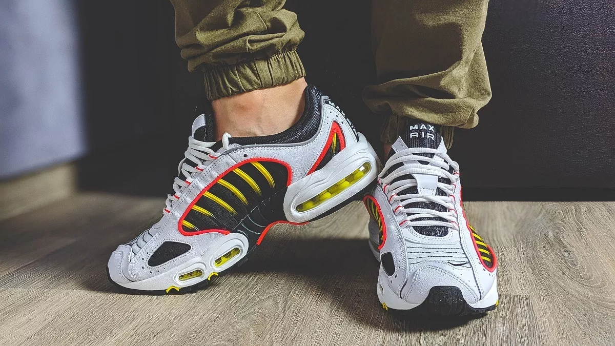 Best Nike Air Max Shoes: फुटवियर की लिस्ट में ये नाइकी शूज हैं टॉप पर, रातों-रात हो जाते हैं आउट ऑफ स्टॉक