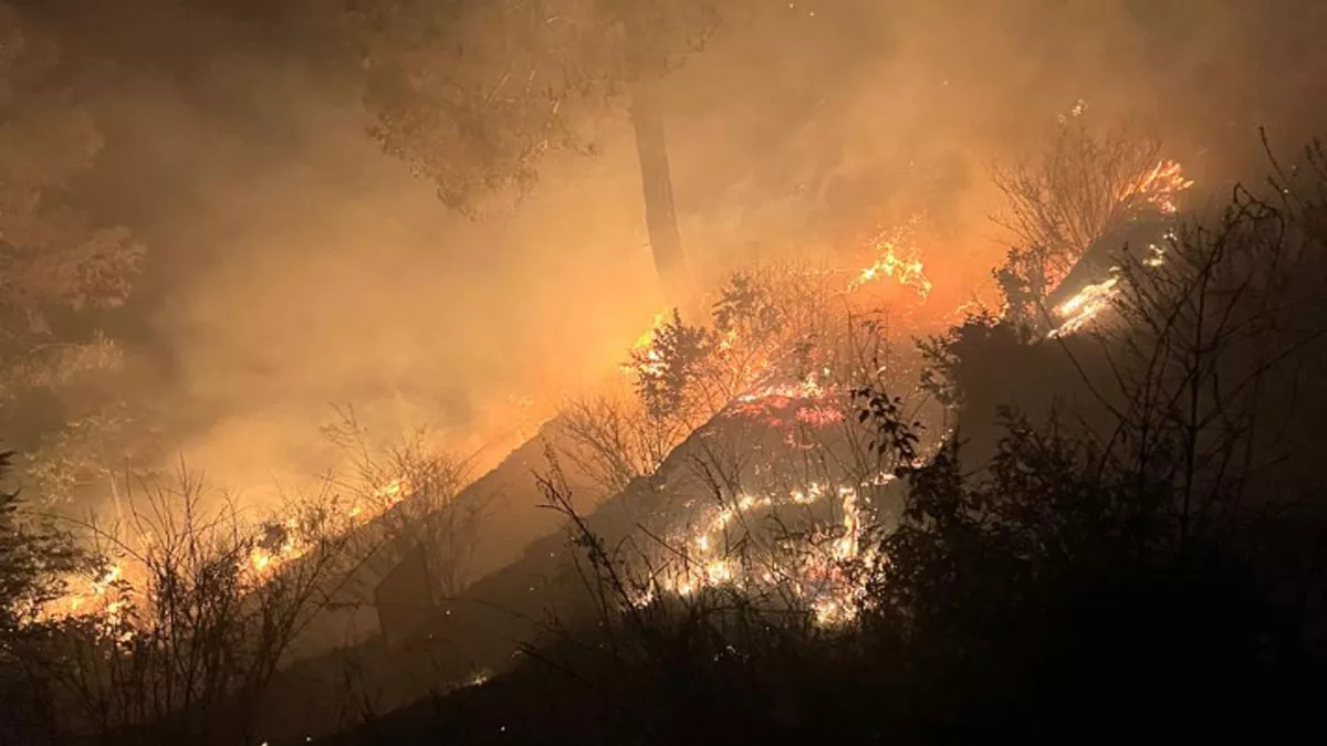 Forest Fire in Uttarakhand: भवाली के जंगलों में लगी भीषण आग, घरों तक पहुंची; बमुश्किल पाया काबू