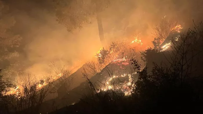 Forest Fire in Uttarakhand: मल्ला रामगढ़ में बिशारत गंज स्टेट में लगी भीषण आग