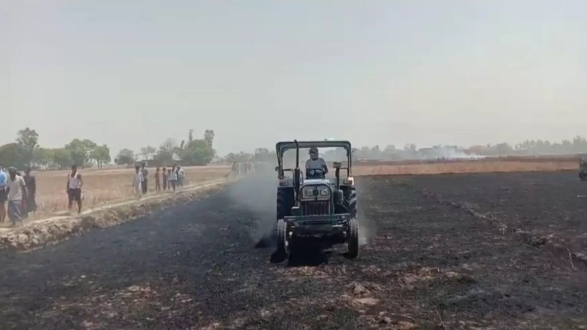 Ghazipur News: चिंगारी से 12 बीघे गेहूं की फसल राख, हार्वेस्टर जलाने का लोगों ने किया प्रयास; पुलिस तक पहुंचा मामला