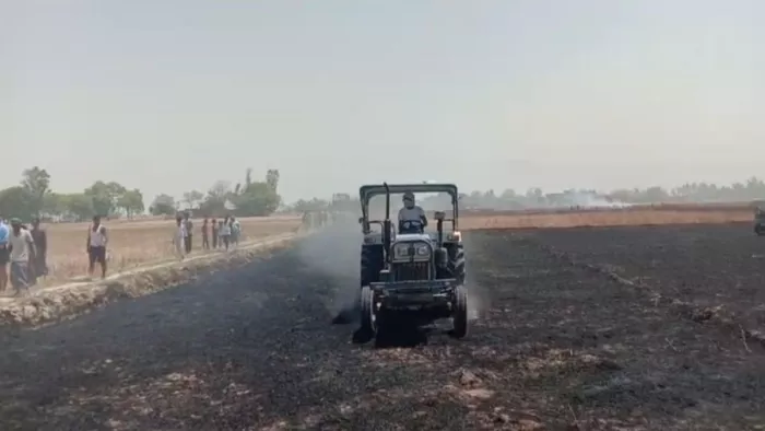 सादात में गेहूं की फसल में आग लगने के बाद ट्रैक्टर से जोताई करता किसान