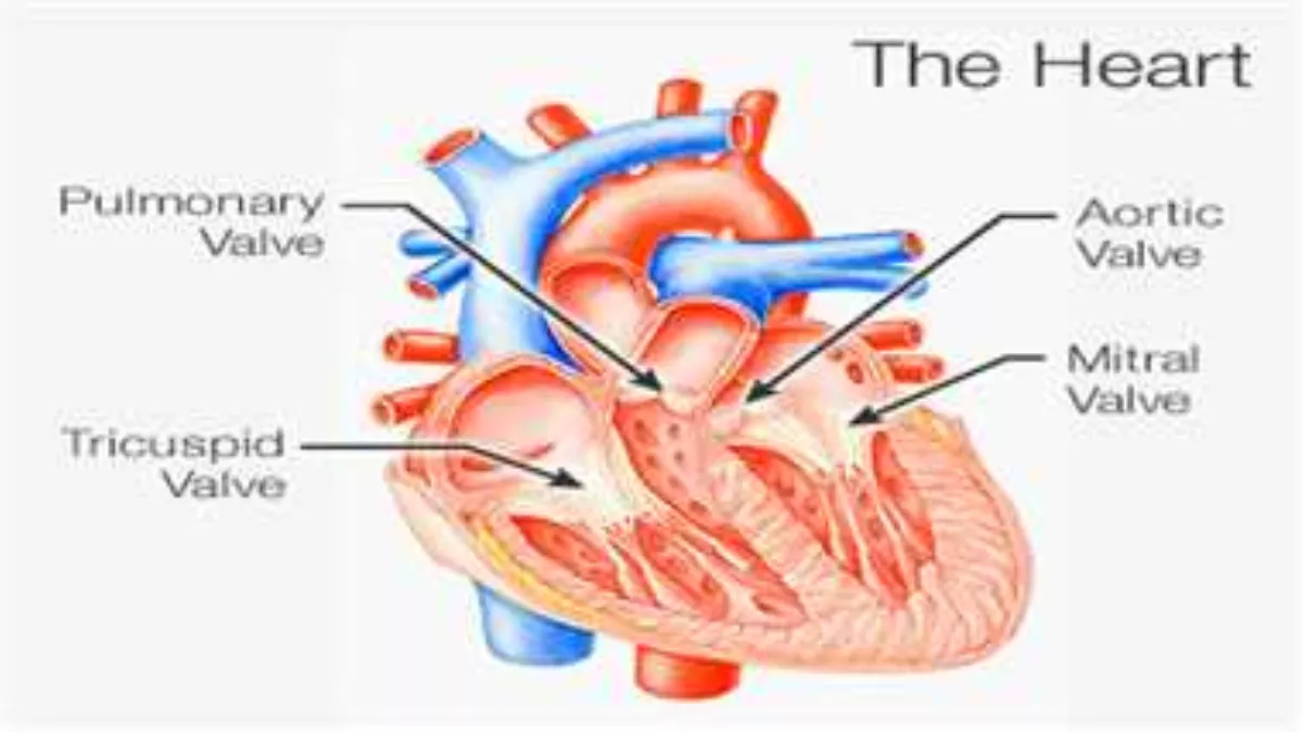 OMG: मरीज देखता रहा और विशेषज्ञों ने बदल दिया दिल का वाल्व, नहीं किया गया बेहोश