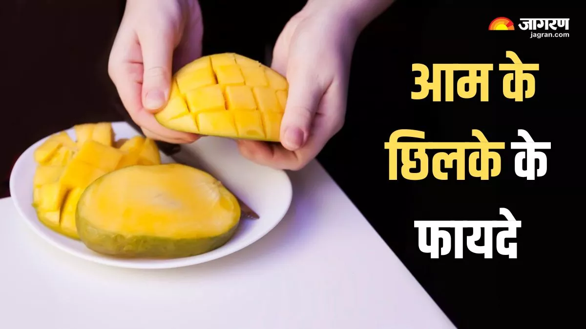 Benefits of Mango Peel: आम के आम, छिलकों के भी दाम, इन 6 वजहों से हैं इसके छिलके भी खास