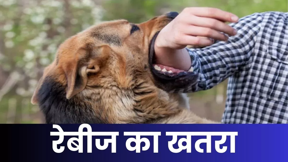 Rabies Virus: कुत्ते हीं नहीं, दूसरे जानवरों के काटने से भी होता है रेबीज का खतरा; बरतें सावधानी!