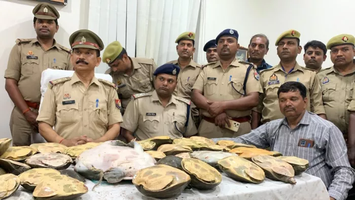 दून एक्सप्रेस में मिली प्रतिबंधित कछुए की खेप। (तस्वीर जागरण)