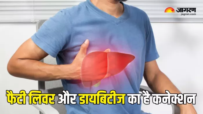 फैटी लिवर बढ़ा सकता है डायबिटीज का रिस्क (Picture Courtesy: Freepik)