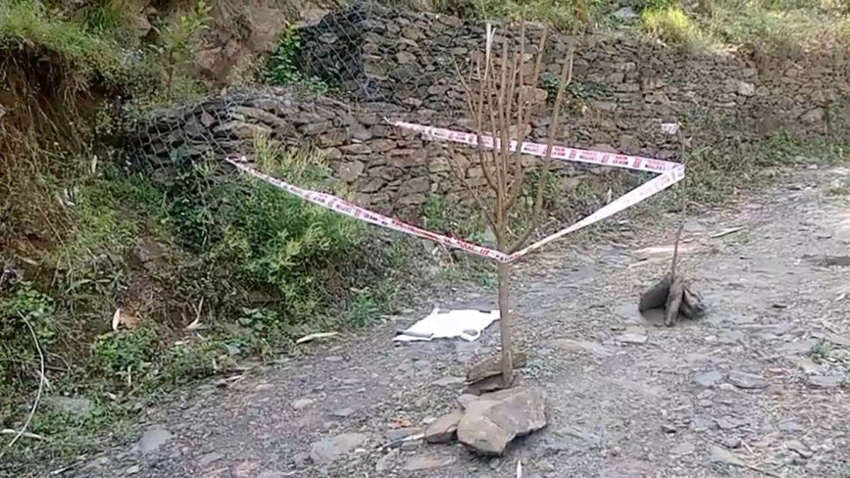 himachal news born baby deadbody found roadside various bodyparts were missing in body