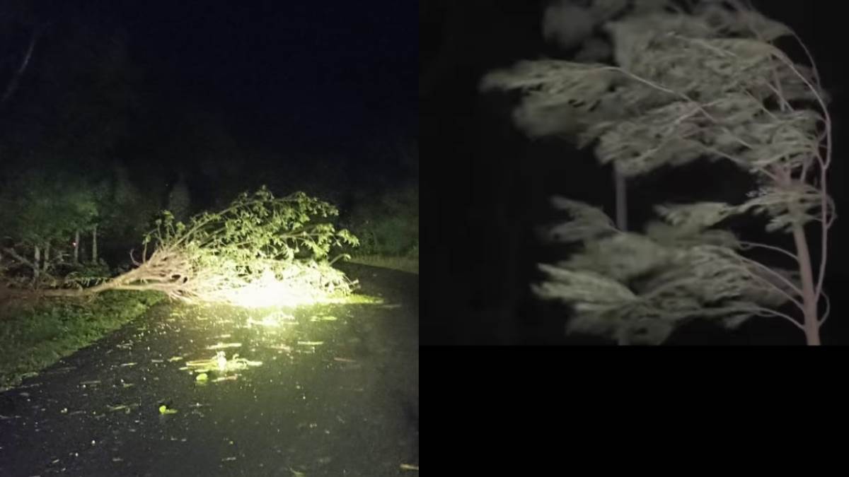 https://www.jagranimages.com/images/newimg/18042025/18_04_2025-jammu_kashmir_weather_update_23920779.jpg