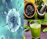 CoronaVirus: कोरोना के दौर में बढ़ा आयुर्वेद का क्रेज, गिलोय रस व च्यवनप्राश की बिक्री हुई दोगुनी