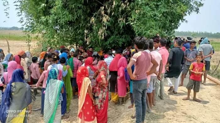 बहराइच में बाघ के हमले में गई वृद्ध की जान।
