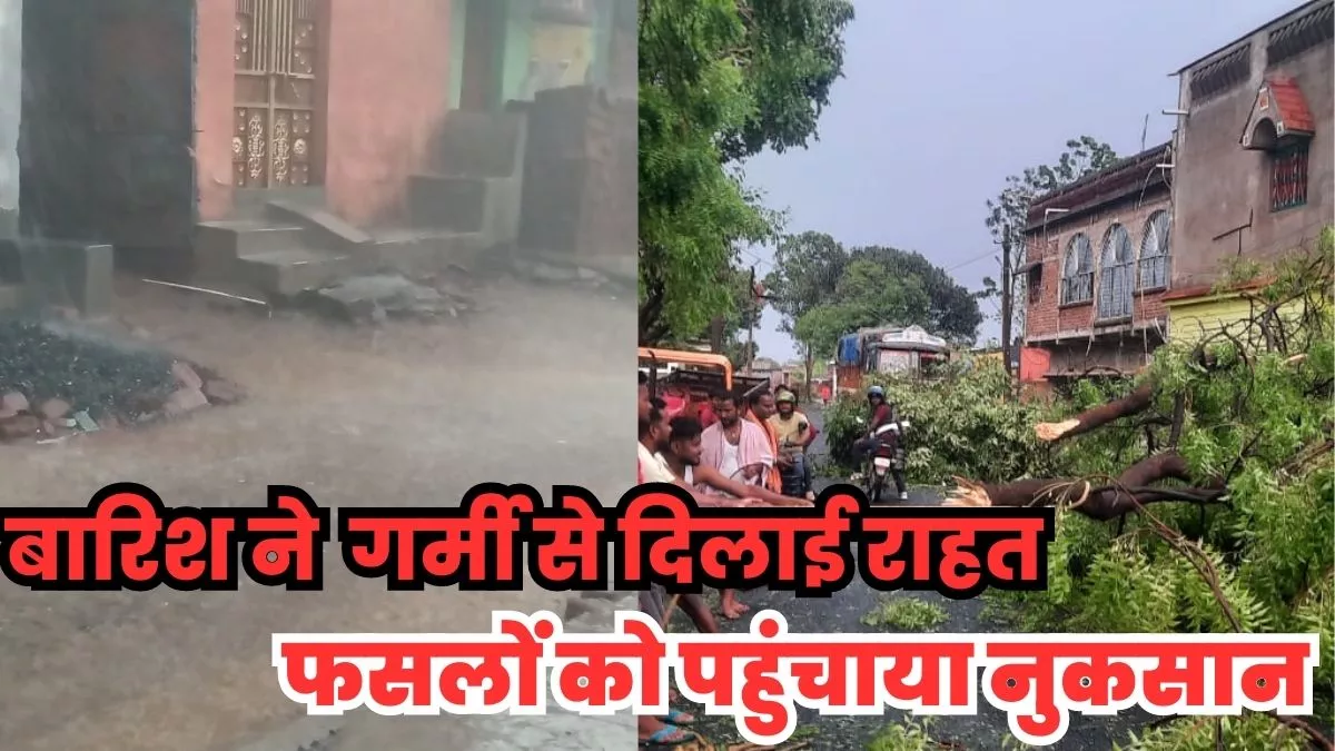 Jamtara Weather News Update: तेज हवाओं के साथ जमकर हुई बारिश और ओलावृष्टि, मौसम विभाग ने जारी किया अलर्ट