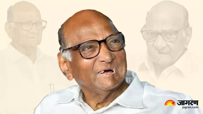 कर्नाटक के नतीजों से गदगद शरद पवार, महाराष्ट्र में बढ़ी NCP की उम्मीदें (फाइल फोटो)