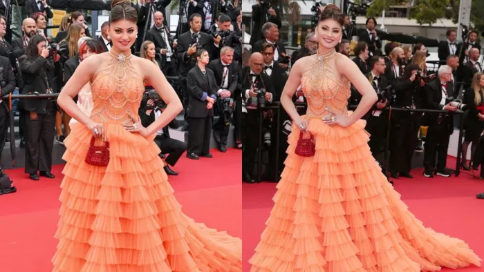 Urvashi Rautela Cannes Look Photo Credit Instagram