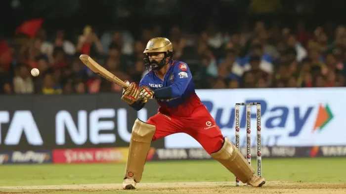 दिनेश कार्तिक ने 400 टी20 मैच पूरे किए