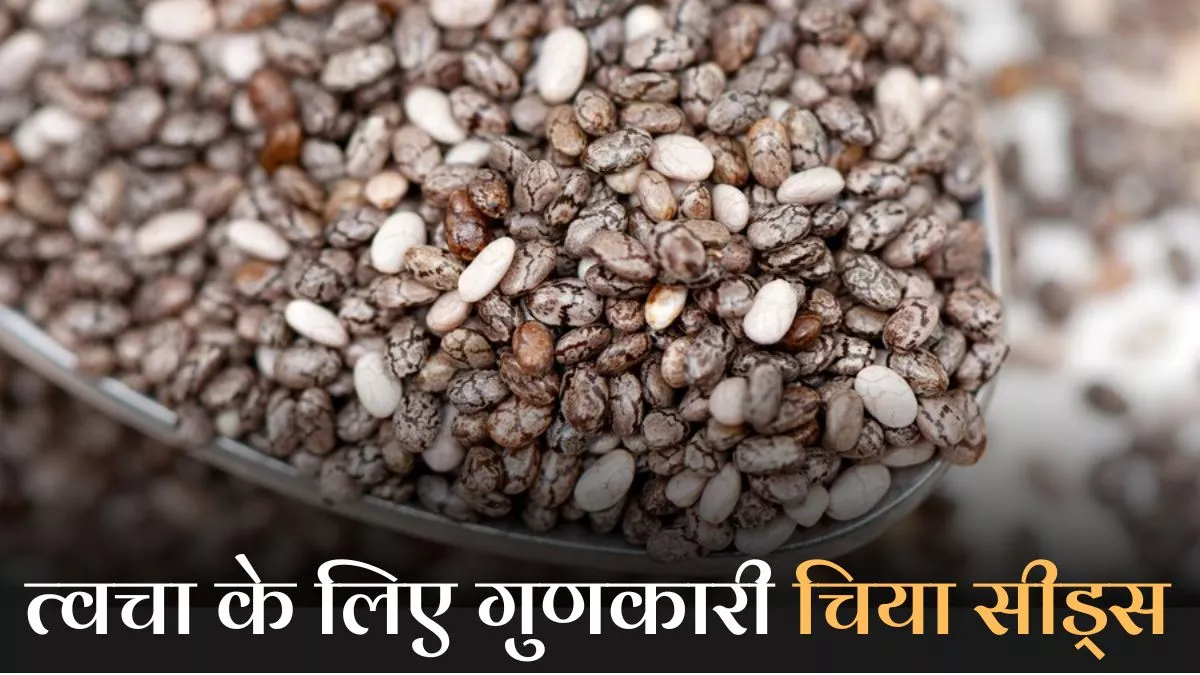 Chia Seeds for Skin: सेहत ही नहीं, त्वचा के लिए भी गुणकारी है चिया सीड्स, ग्लोइंग स्किन के लिए करें डाइट में शामिल