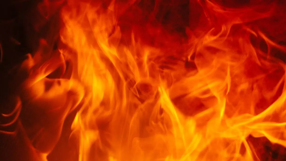 Fire in Mandi: जोगेंद्रनगर में पशुशाला में लगी आग, जिंदा जला बुजुर्ग; प्रशासन ने दी 25 हजार की फौरी राहत