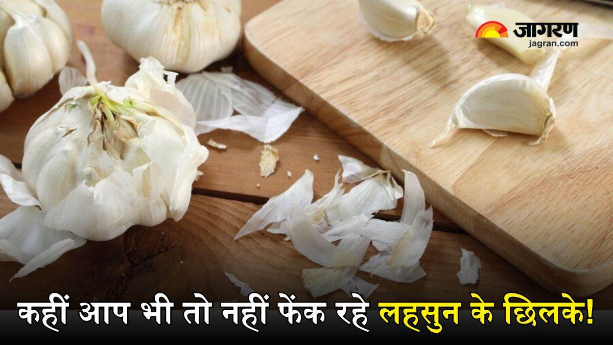 Garlic Peel Benefits बेकार समझकर कर रहे हैं लहसुन के छिलके फेंकने की