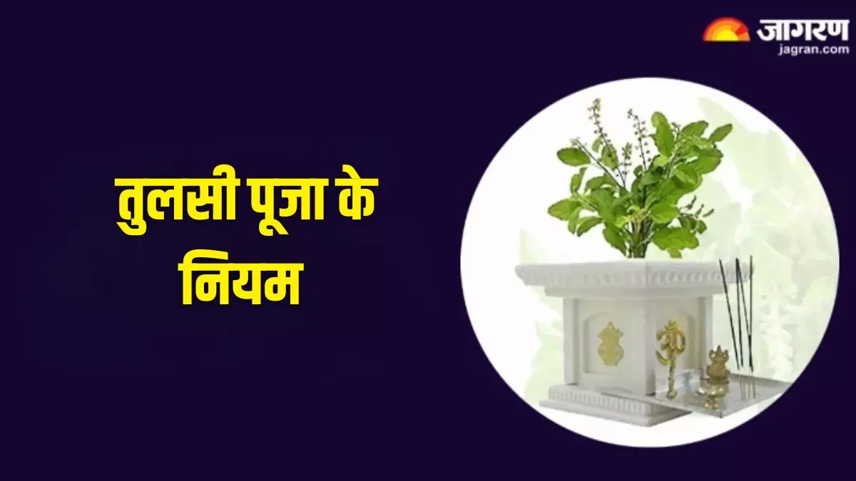 Tulsi Puja: तुलसी में जल रविवार और एकादशी के दिन क्यों नहीं देना चाहिए? जानें इसके पीछे की असल वजह