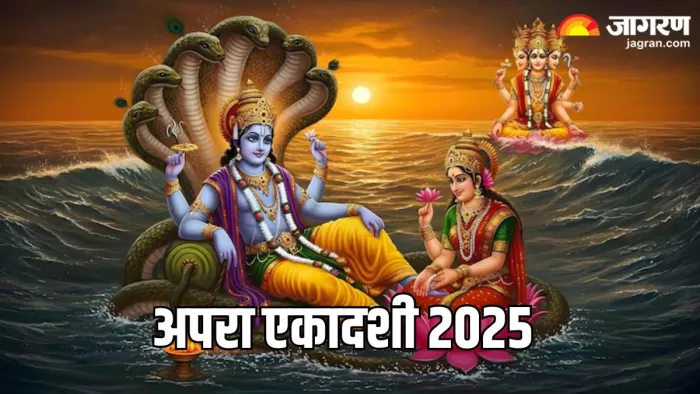 Apara Ekadashi 2025: अपरा एकादशी के नियम (Pic Credit- Freepik)
