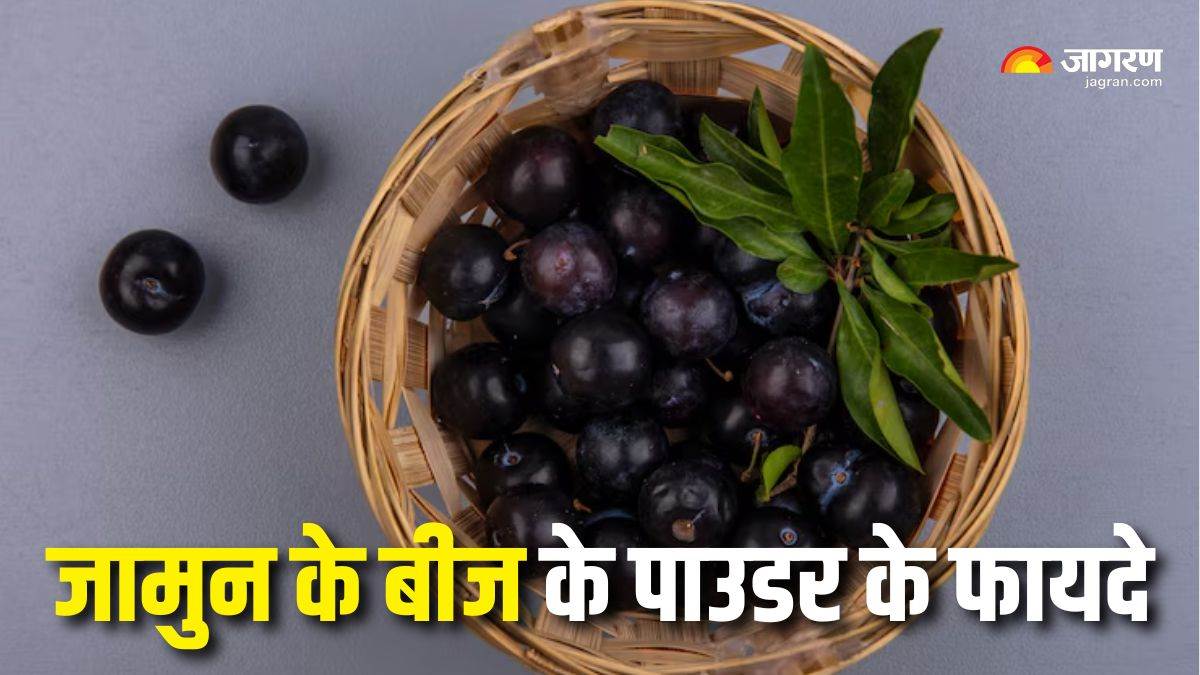 https://www.jagranimages.com/images/newimg/18052025/18_05_2025-jamun_seeds_powder_benefits_23940616.jpg