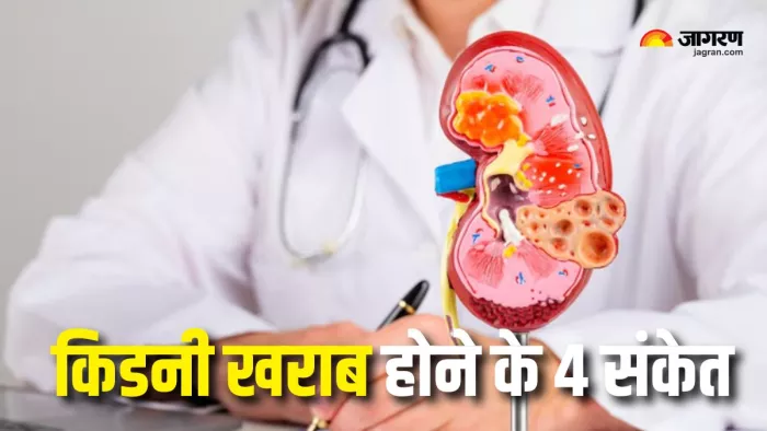 Kidney Damage Symptoms: यूरिन में नजर आते हैं किडनी डैमेज के 4 संकेत (Picture Courtesy: Freepik)