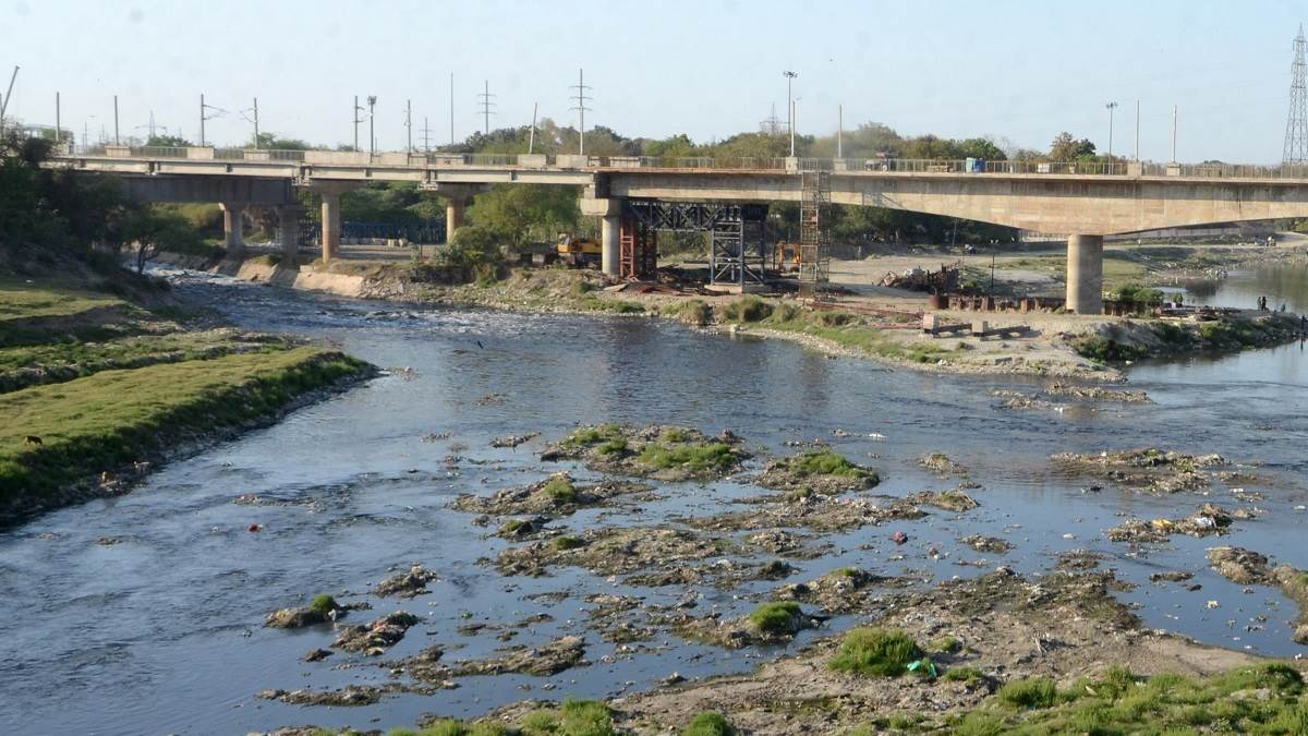 ncr najafgarh drain cleanup delhis plan to purify yamuna river