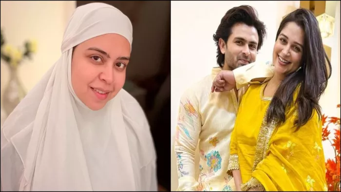 दीपिका कक्कड़ के ट्यूमर पर सबा इब्राहिम ने किया रिएक्ट। फोटो क्रेडिट- इंस्टाग्राम