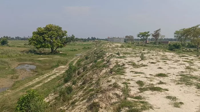 तीन साल में तीन किमी तटबंध का हुआ मिट्टीकरण। (जागरण)