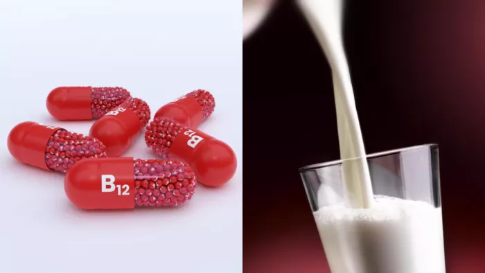 दूध के साथ ये 3 चीजें खाने से दूर होगी Vitamin-B12 की कमी (Image Source: Freepik)
