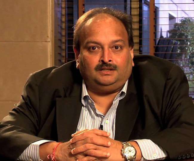 भगोड़े मेहुल चोकसी को लेकर नई जानकारी आई सामने।(फोटो: दैनिक जागरण)