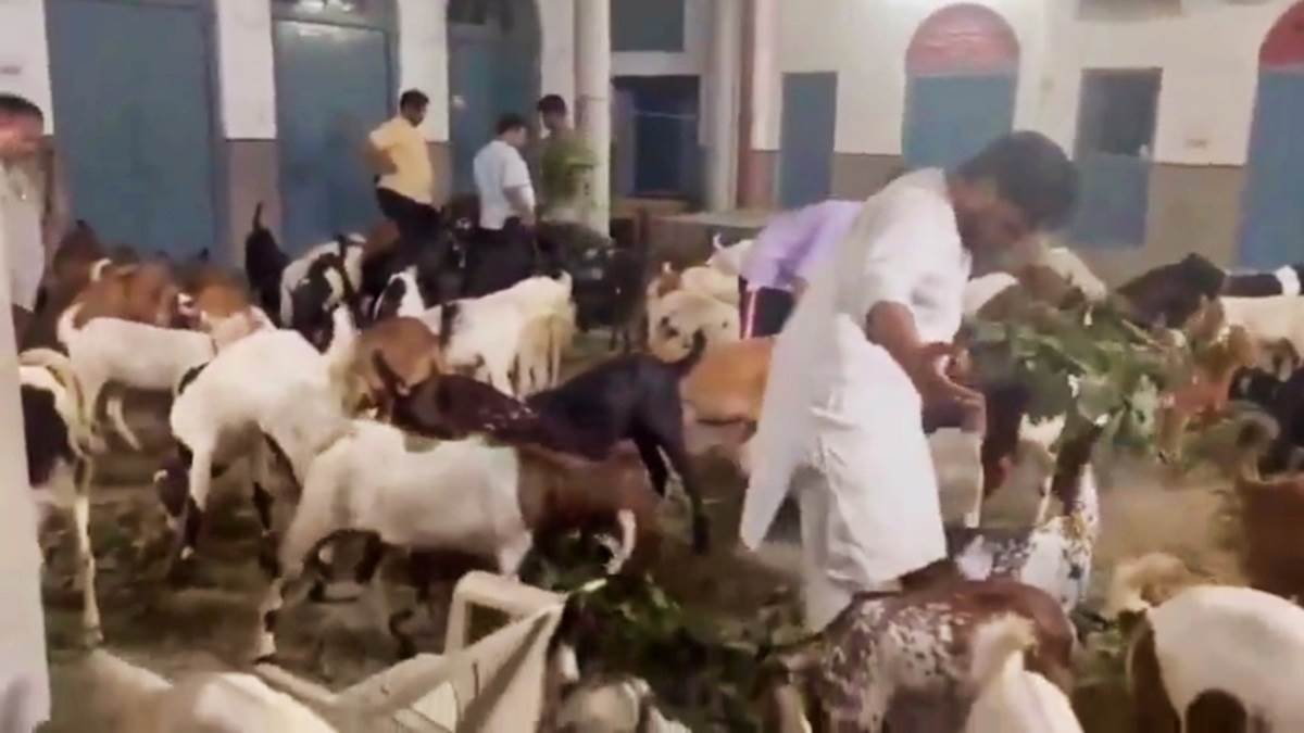 https://www.jagranimages.com/images/newimg/18062024/18_06_2024-gaot_save_on_eid_23741911.jpg