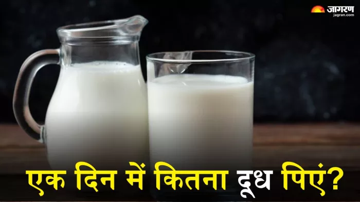 एक दिन में कितना दूध पीना सही? (Picture Credit- Freepik)