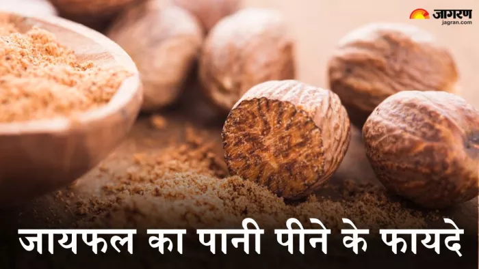 रोजाना जायफल का पानी पीने के फायदे (Picture Credit- Freepik)