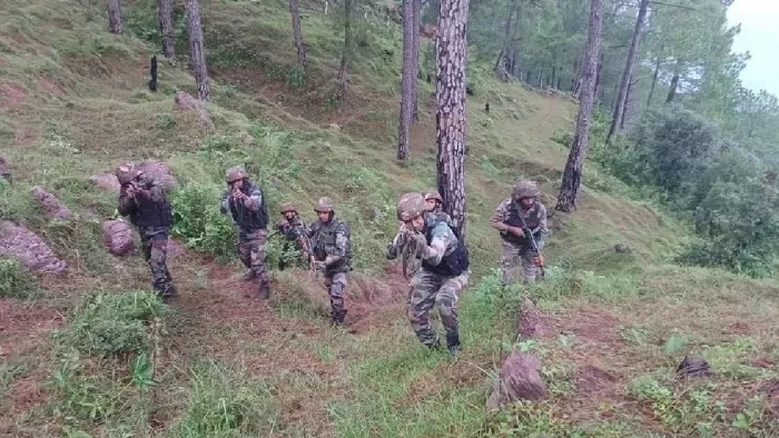 आतंकियों की तलाश में घने जंगल खंगालते जवान (जागरण फाइल फोटो)