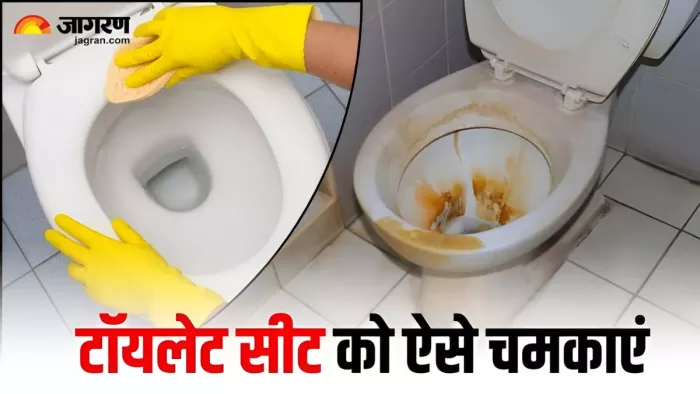 ज्यादा मेहनत किए बिना 5 टिप्स से चमकाएं टॉयलेट सीट (Image Source: Freepik)