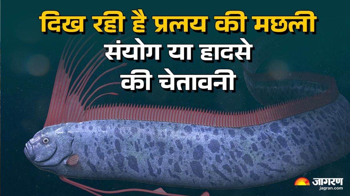 doomsday fish oarfish sparks alarm in india seen in 2011 before japans tsunami