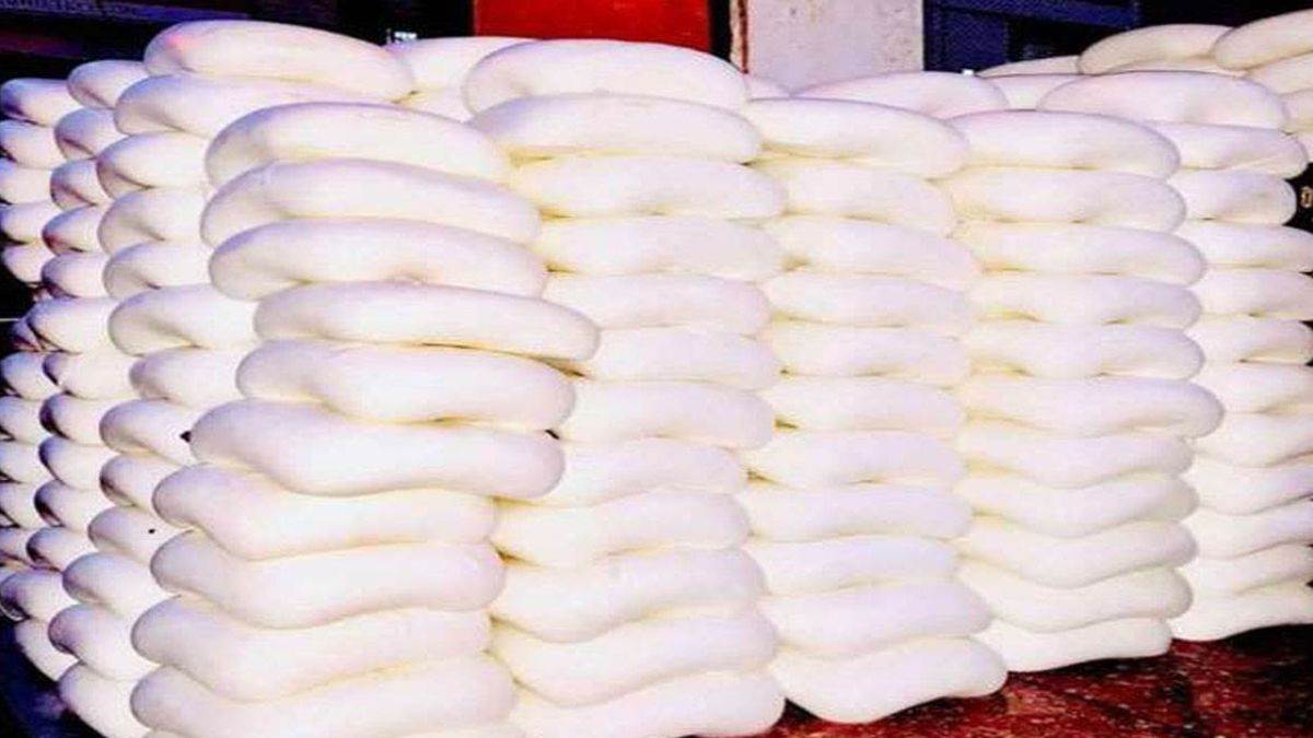 raid on a paneer factory in kaithal food safety department was shocked to see the quality now action will be taken