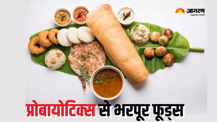 Probiotics से भरपूर इन फूड्स को जरूर करें डाइट में शामिल (Picture Courtesy: Freepik)