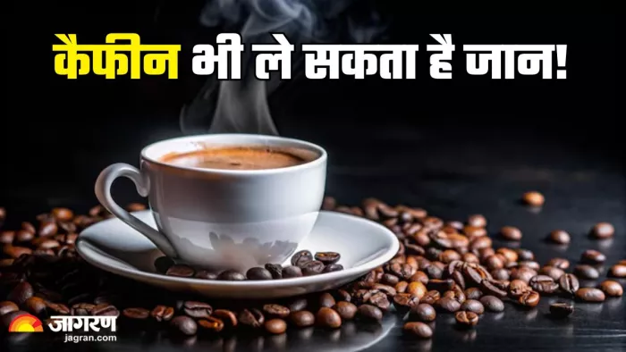 कैफीन की कितनी मात्रा है सुरक्षित? (Picture Credit- Freepik)