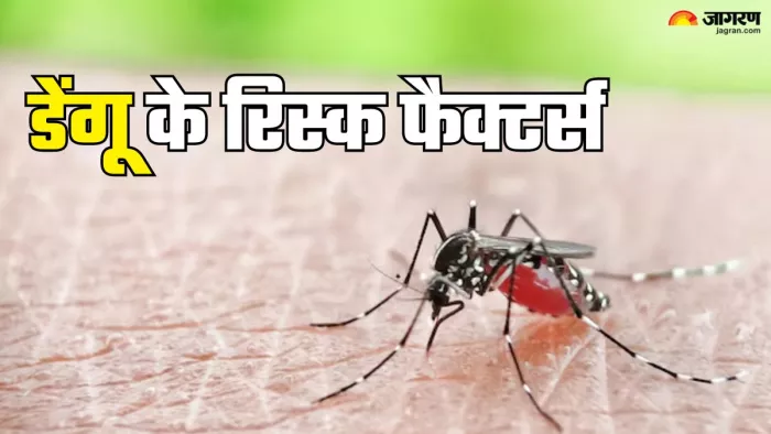 डेंगू के रिस्क फैक्टर (Picture Credit- Freepik)