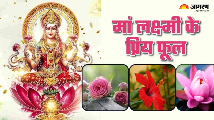Lakshmi ji ke priya Phool धन की देवी लक्ष्मी को चढ़ाएं ये फूल।